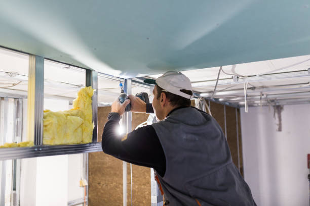 Best Insulation Maintenance and Repair in South Pasadena, CA